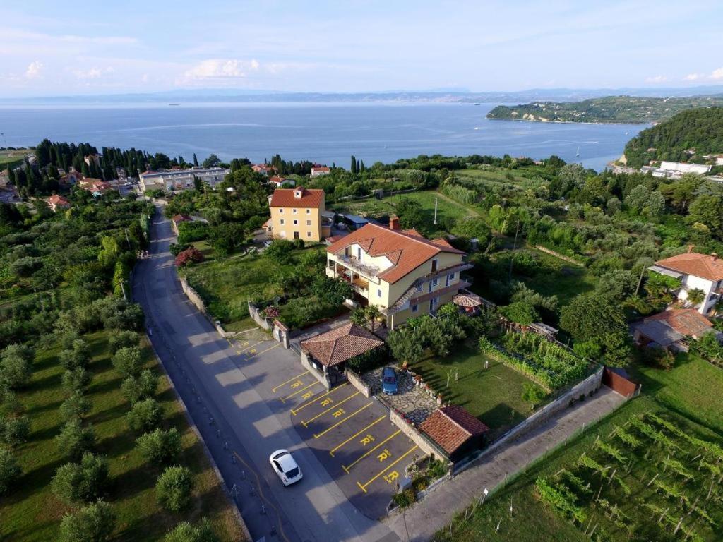 Apartmaji Jelena Piran Dış mekan fotoğraf